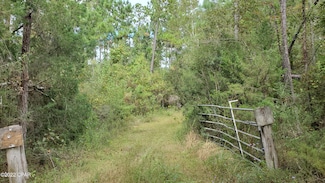 00 Buttercup Ln, Marianna, FL 32446