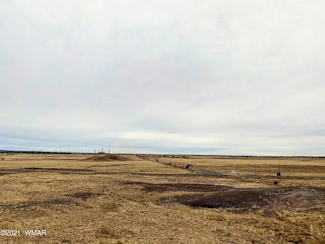 0 Highway 191 Unit 238877, St. Johns, AZ 85936