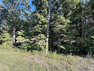 0 Hathburn Dr, Rockwood, TN 37854