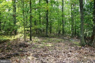 0 Stoneybreak Rd Unit 1000208869, Warfordsburg, PA 17267