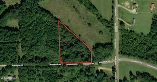 0 Robinson Rd Unit Lot 5, Canton, MS 39046