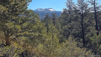 7832 Mallott Rd, Fort Garland, CO 81133