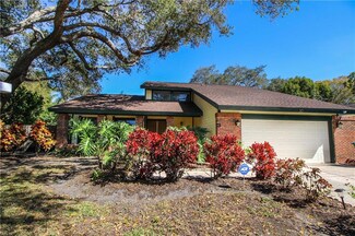 30 Regis Cir, Palm Harbor, FL 34683