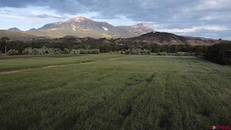 Lot 1 - TBD Colorado 133, Paonia, CO 81428