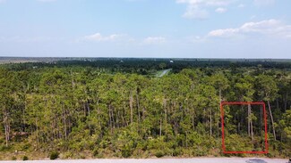 Lot 14 Trey's Ln, Wewahitchka, FL 32465