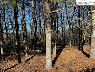 Lot 29 Woodland Shores Dr, Jefferson, NC 28640