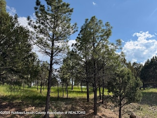 Lot 3 Block 8, Alto, NM 88312