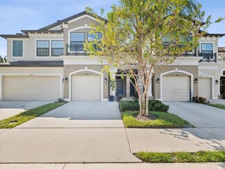 11404 Crowned Sparrow Ln, Tampa, FL 33626