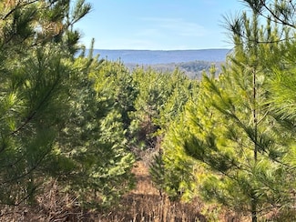 0 Dividing Ridge Rd Unit 1506824, Spring City, TN 37381