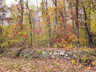 0 Reilly Rd, Hampton, CT 06247