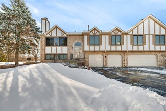 2316 Olde Mill Rd Unit 72, Plainfield, IL 60586