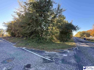 Lot 9-14 Maple Ave, McBee, SC 29101