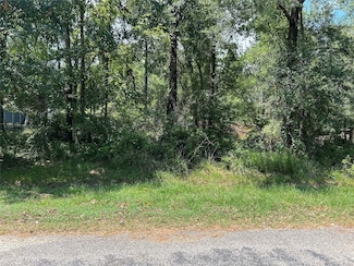 TBD Belize Dr, Point Blank, TX 77364