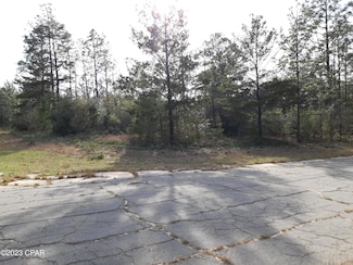 0021 Windbrook St, Chipley, FL 32428