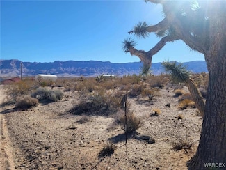 800 N Bright Angel Dr, Meadview, AZ 86444