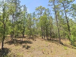 0 NW Alvarez #42 Rd Unit 1001374, Dunnellon, FL 34431