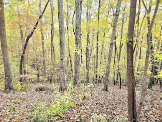 0 Drew Ct Unit RTC3050632, Smithville, TN 37166