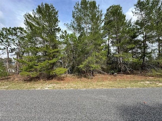 0 SW 110th Ln Unit MFROM696957, Ocala, FL 34476