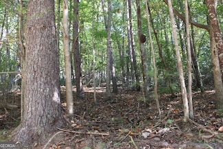 LOT 546 Satsuma Ct, Ellijay, GA 30540