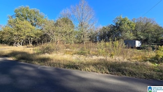 149 40th Ave W, Birmingham, AL 35207