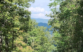 0 E Lakeview Unit 402681, Hayesville, NC 28904