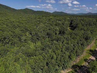 Lot 13 Polk County Road 78, Mena, AR 71953