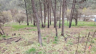 TBD May St Blk 56 Lot 8, Peck, ID 83545