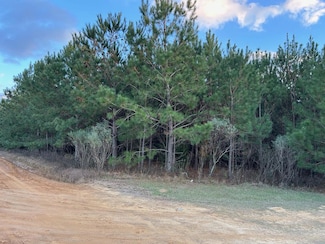 246 Pope Rd, Pineview, GA 31071