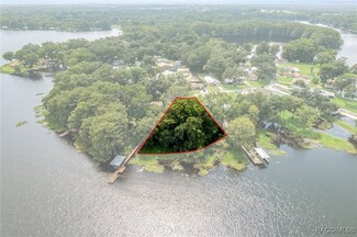 6694 S Merleing Loop, Floral City, FL 34436