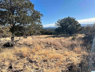 62 Nizhoni Loop, Silver City, NM 88061