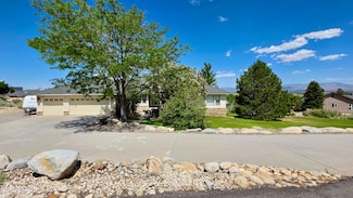 220 Sierra Shadows Ln, Gardnerville, NV 89460