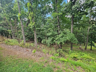 0 Pin Oak Dr Unit 918754, Blue Ridge, VA 24064