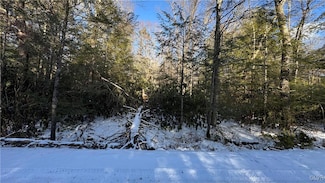 0 Driftwood Dr, Albrightsvlle, PA 18210