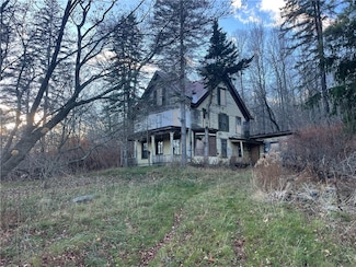 3485 Brush Ridge Rd, Fleischmanns, NY 12430