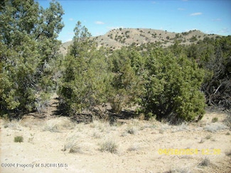 XX Road 3179, Aztec, NM 87410