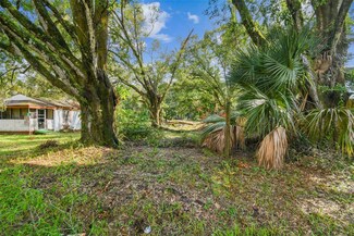 7207 Westinghouse Ave, Tampa, FL 33619