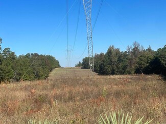 XXX Nevada 290 Rd, Bluff City, AR 71722