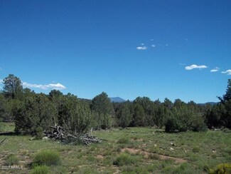 7050 Bird Dog Cir Unit 328, Williams, AZ 86046