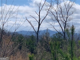 0 Jones Mountain Rd Unit 10483354, Talking Rock, GA 30175