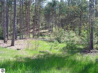 4040 Williamsburg Rd Unit D, Williamsburg, MI 49690