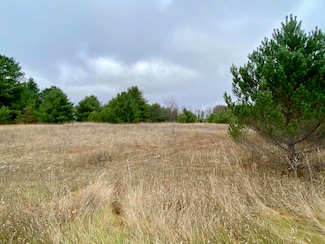 4.94 acres Tag Alder Trail, Otsego Lake Township, MI 49735