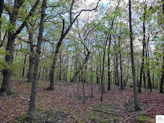 Lots 1144 Elliott Place, Union Township, MO 65338