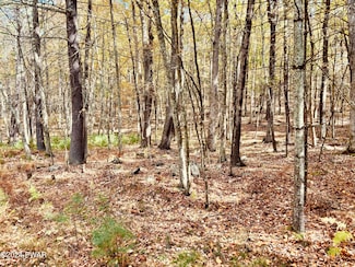 45 Hawks Nest Route 590, Hawley, PA 18428
