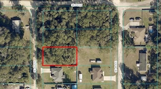 SE SE 43rd Terrace, Summerfield, FL 34491