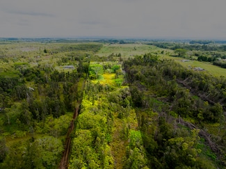 18-7999 N Kulani Rd, Mountain View, HI 96771