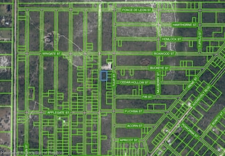 881 Papaya St, Lake Placid, FL 33852