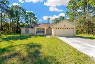 11312 Gidget Ct, Brooksville, FL 34614