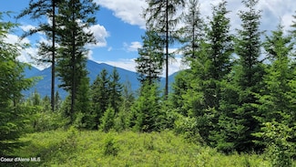 NNA Continental Lane-Tract 1, Bonners Ferry, ID 83805
