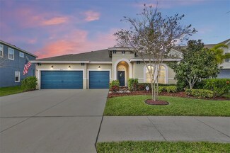 6812 Ebb Tide Ave, Apollo Beach, FL 33572