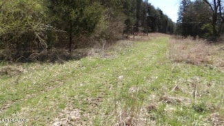 6 Baugh Hollow Ln, Gainesboro, TN 38562